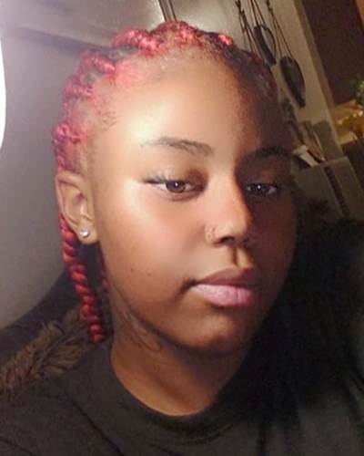 Missing: Aerial Stoudemire (NC)