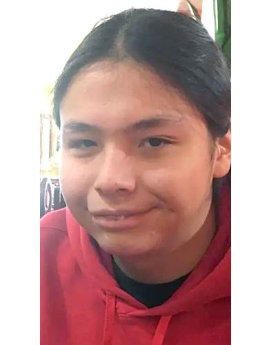 Missing: Luke Taken Alive (ND)